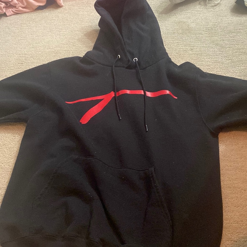 champion hoodie.